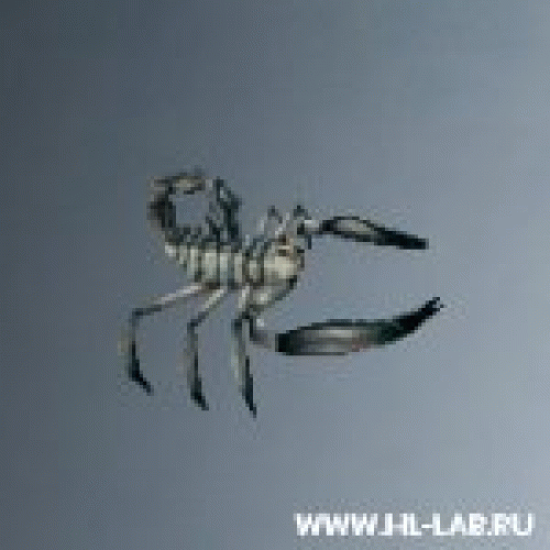 scorpion_small.zip
