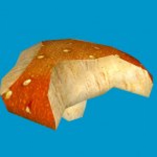jn_orange_mushroom_03_gib02