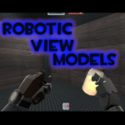 Robotic View Models