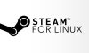 Доступ к бета-версии Steam для Linux