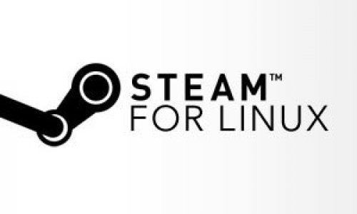 Доступ к бета-версии Steam для Linux