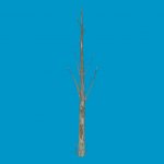 lowpoly_treetrunk2
