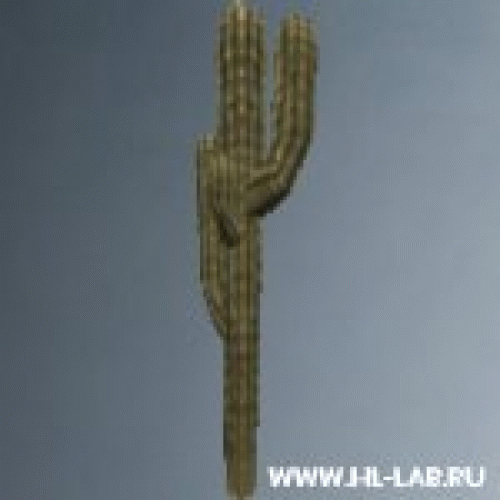 cactus01.zip