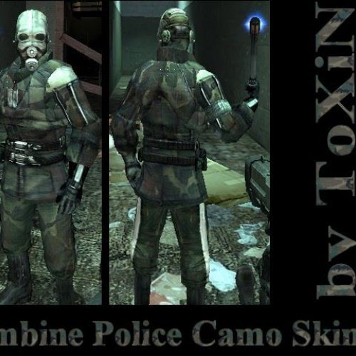 Combine Police Camo Skin