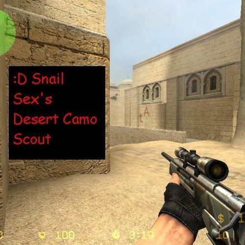 Snail Sex's Desert Camo Scout V1.0