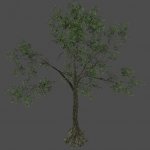 S_ENV_TreeSize02_yellow