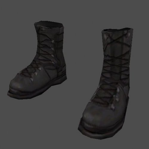 AP_boots