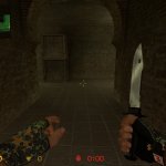 H_K_Flecktarn_and_black_gloves