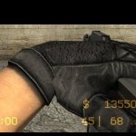 HL2_Gloves