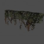 ivy01
