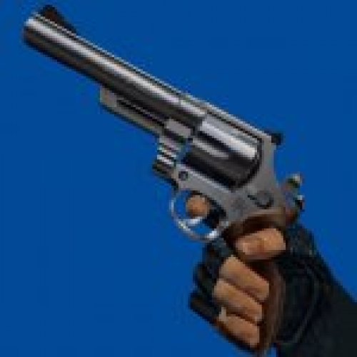 S&W Dirty Harry 629 (only v_ + skins and hands)