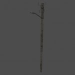 pole_001