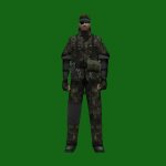 BigBoss_DPW