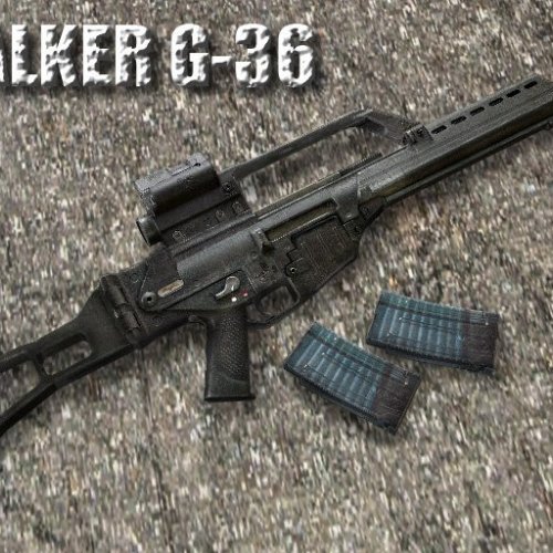 Stalker G-36