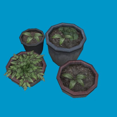 potted plants03