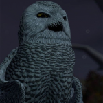 Blu, Jewel, and a Snowy Owl