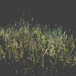 grass_pack_big2
