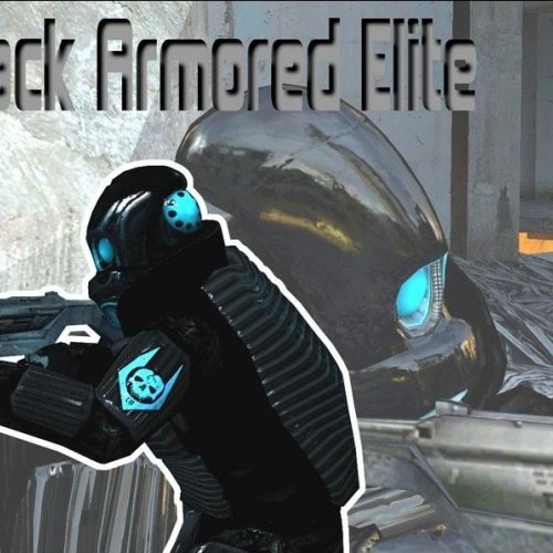 Black Armored Elite
