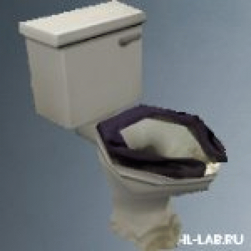 toilet3