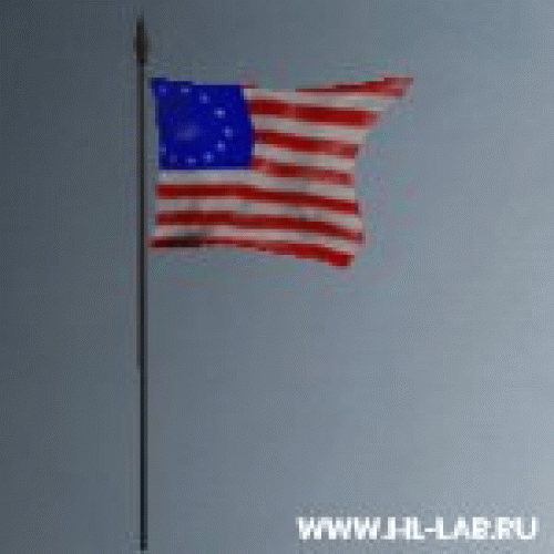 amerflag