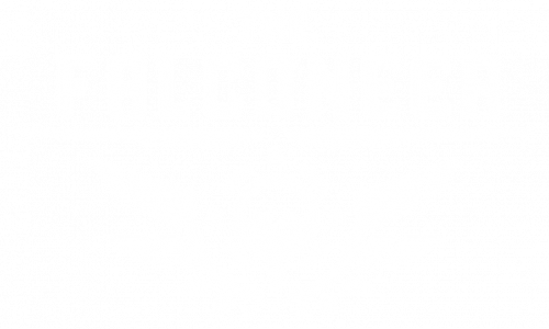 The Falconeer (Раздача в EpicGamesStore)