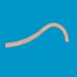 plasticpipe_white_hose