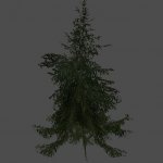 litengran1