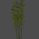 AA_Bamboo_XL_Cluster_01_JS_SMesh