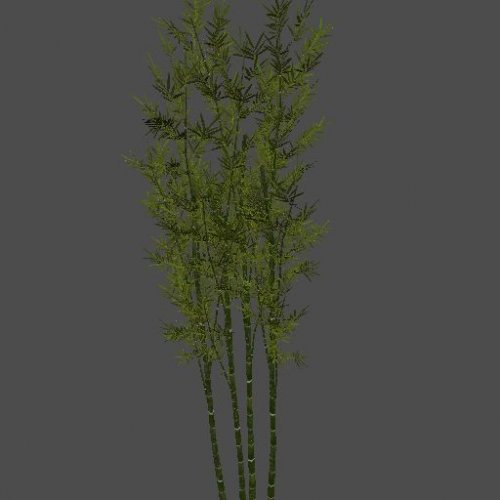 AA_Bamboo_XL_Cluster_01_JS_SMesh