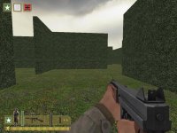 hedgemaze_v2