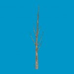 lowpoly_treetrunk3