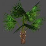 cc_pr_OfficePlants_02