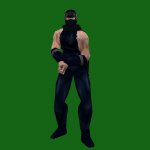 NinjaGaiden