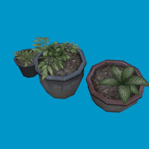 potted plants07