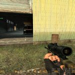 Tigah-stripe awp