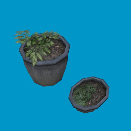 potted plants08