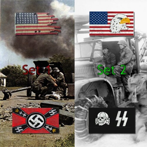 DoD_S_Flags_(torn)