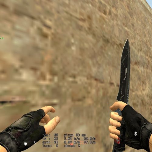 CS_1.6_Low_Res_Gloves__Arms_For_CS_S