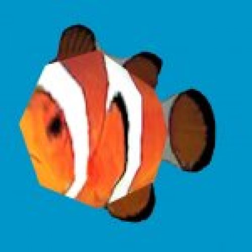 prop clownfish