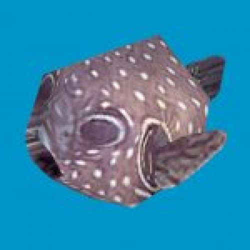 prop blowfish