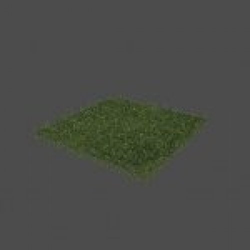 grass3