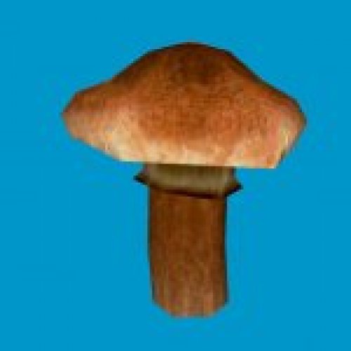 sta_mushroom01