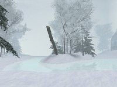 gm_winterforest