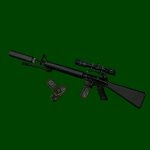 M16A2 scoped + silencer