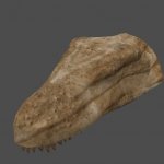 pc_RaptorSkull_Mesh