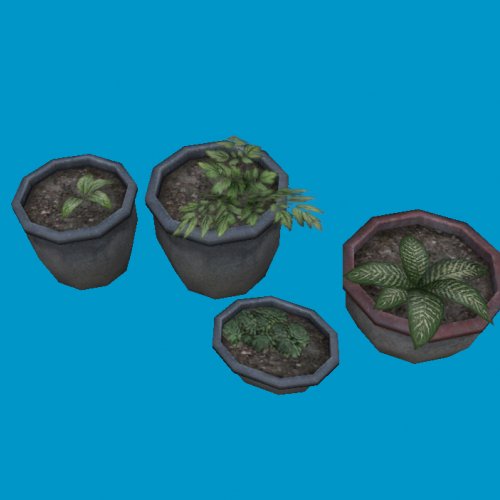 potted plants02