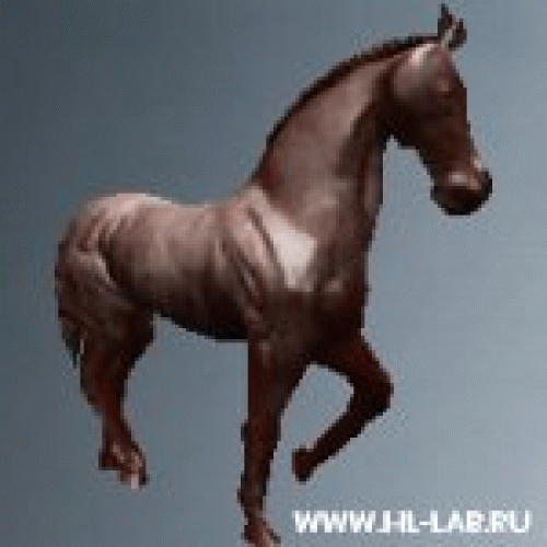 horse_statue02