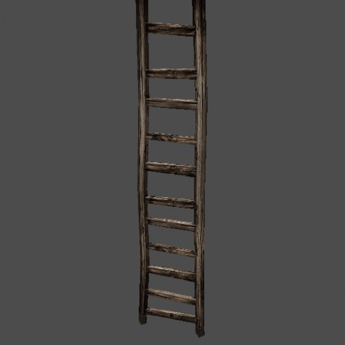 got_ladder01