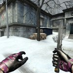 Chrono_and_Kamy_s_King_Cobra