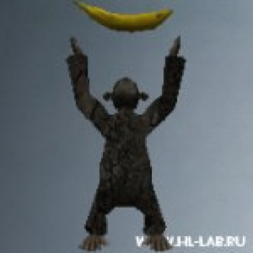 monkey_worship